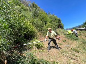 Municipio de Chiguayante refuerza seguridad en el Cerro Manquimávida con 12 km de cortafuegos