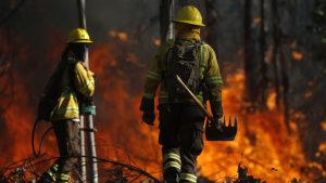 Conmemoración del Día del Brigadista Forestal